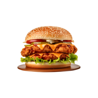 Double Crunchy Chicken Burger